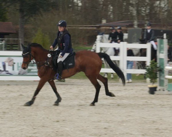 Reitturnier Memmingen 2025