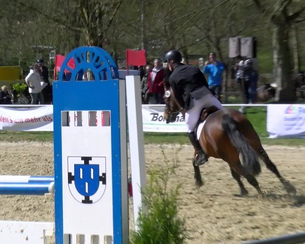 Reitturnier Bottrop 2025