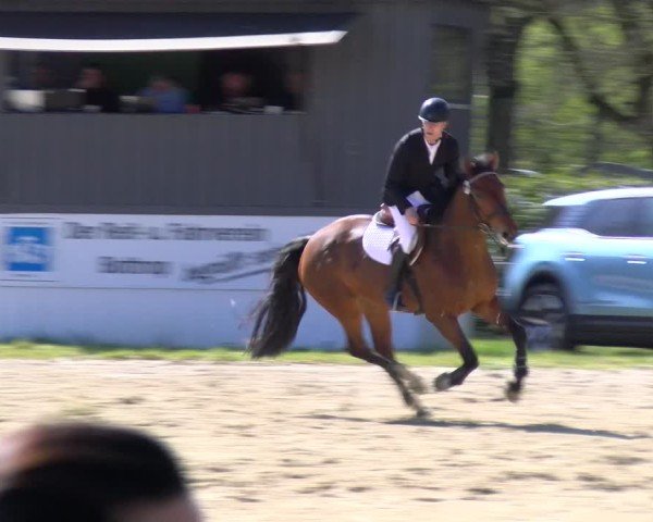 Reitturnier Bottrop 2025