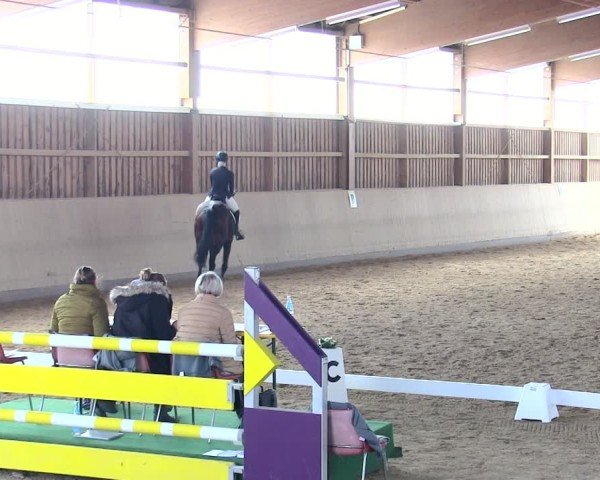Reitturnier Marktredwitz 2025