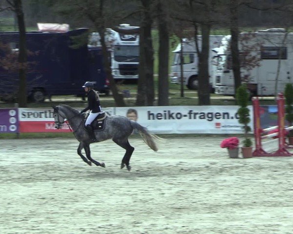 Reitturnier Westergellersen 2025