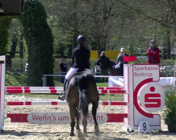 Reitturnier Bottrop 2025