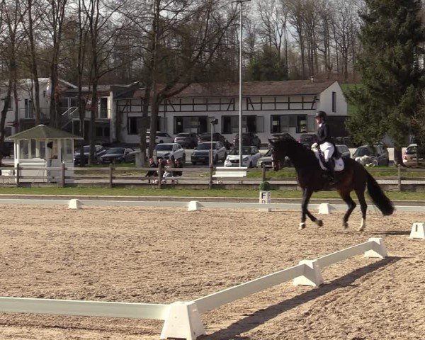 Reitturnier Balve-Wocklum 2025