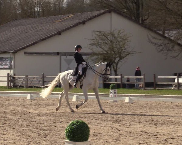 Reitturnier Balve-Wocklum 2025