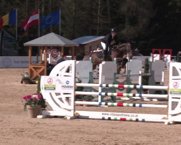 Reitturnier Ranshofen - Braunau am Inn 2025