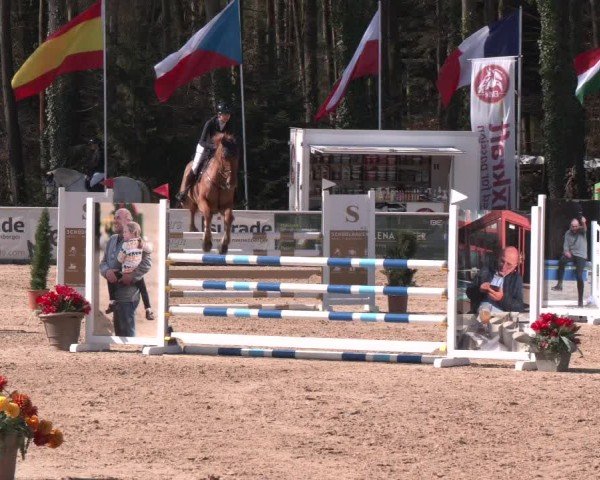 Reitturnier Ranshofen - Braunau am Inn 2025