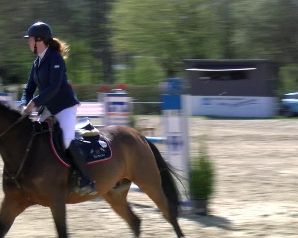 Reitturnier Bottrop 2025