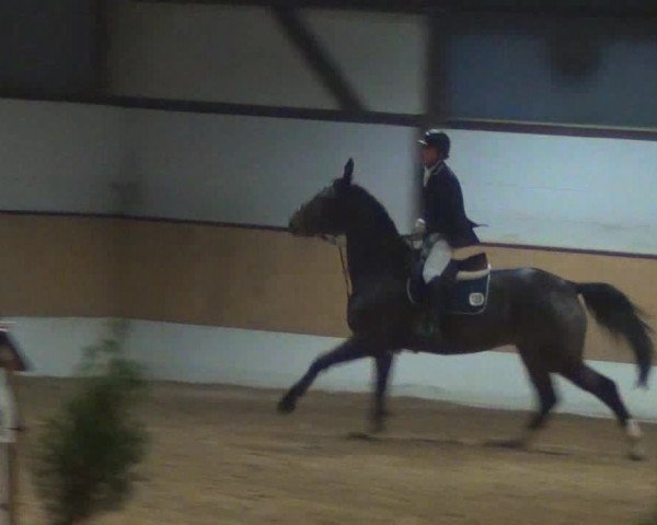Late-Entry-Turnier 2013