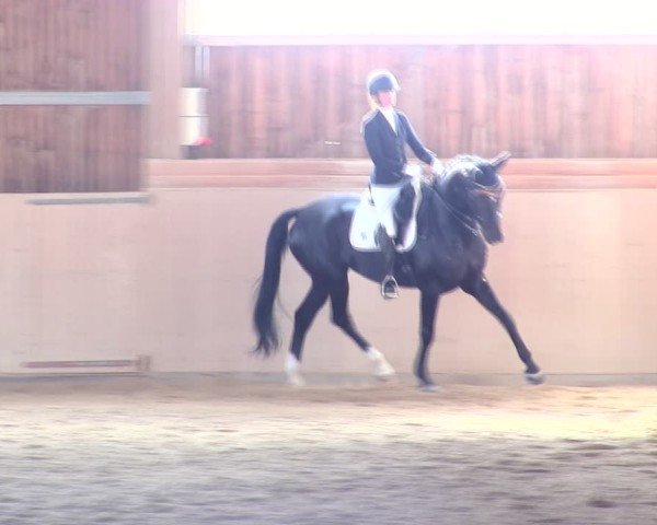 Reitturnier Marktredwitz 2025