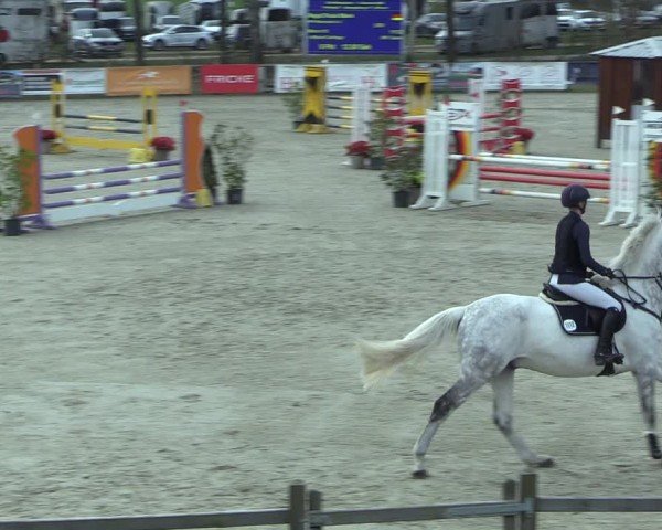 Reitturnier Westergellersen 2025