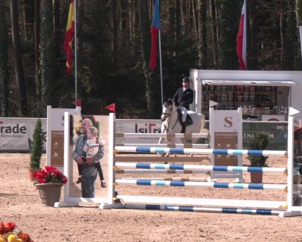 Reitturnier Ranshofen - Braunau am Inn 2025