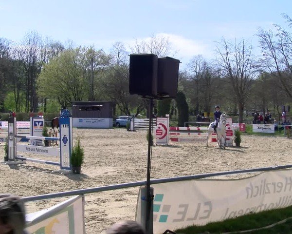 Reitturnier Bottrop 2025