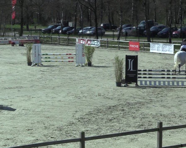 Reitturnier Westergellersen 2025
