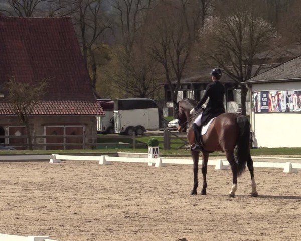 Reitturnier Balve-Wocklum 2025