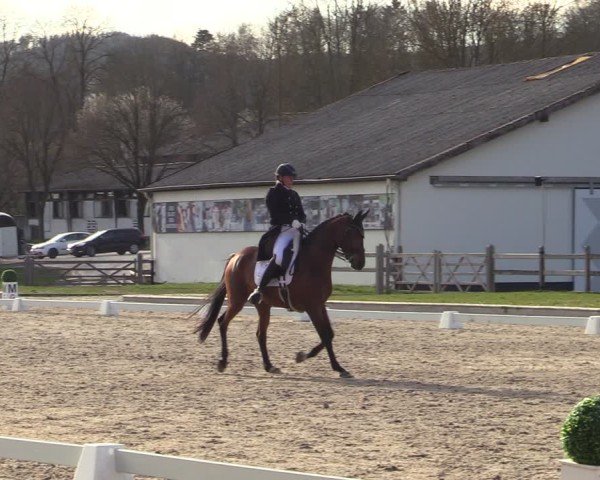 Reitturnier Balve-Wocklum 2025