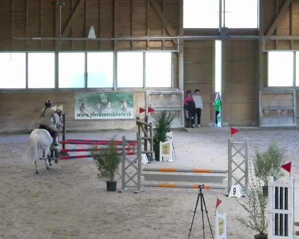 Reitturnier Rüti ZH 2025