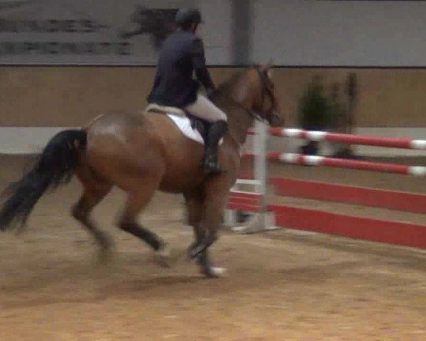 Late-Entry-Turnier 2013
