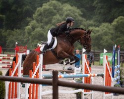 jumper Popcorn 72 (Oldenburg show jumper, 2014, from Cormint)