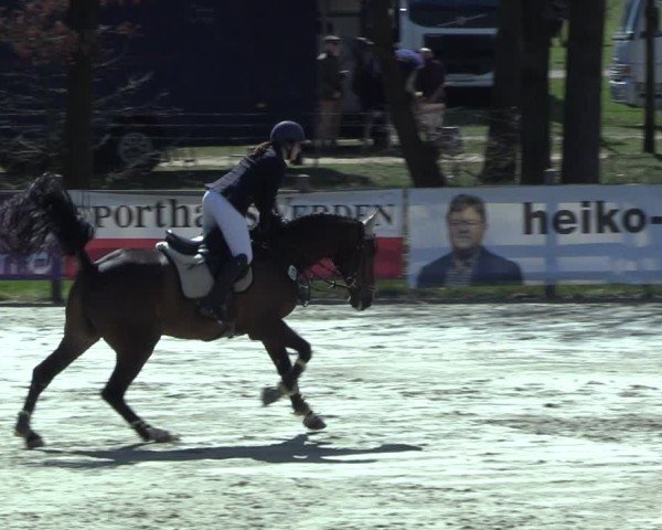 Reitturnier Westergellersen 2025