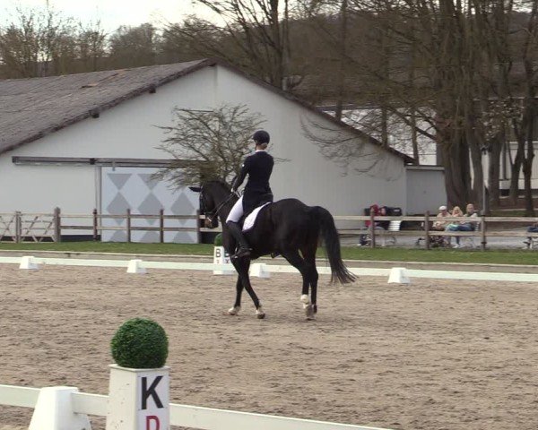 Reitturnier Balve-Wocklum 2025
