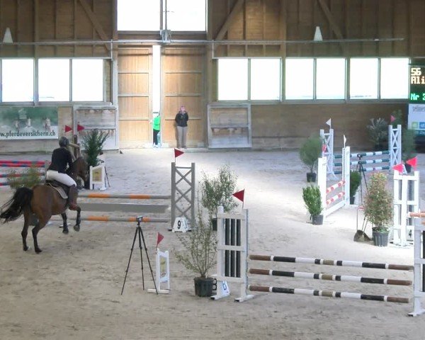 Reitturnier Rüti ZH 2025