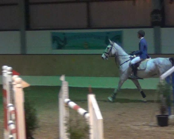 Reitturnier Hanstedt 2013