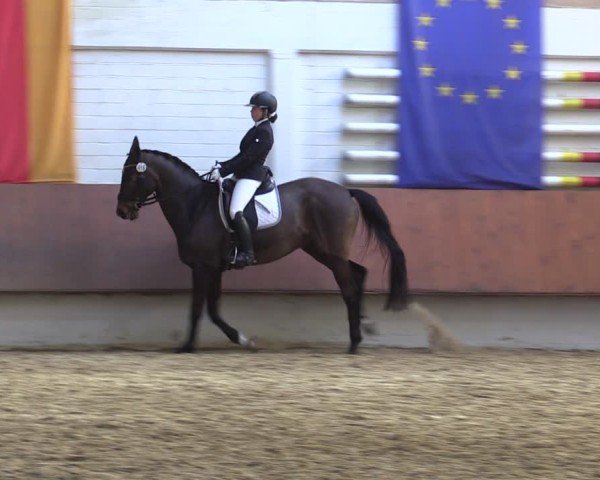 Reitturnier Bottrop 2025