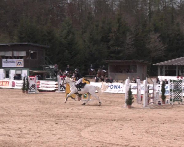 Reitturnier Ranshofen - Braunau am Inn 2025