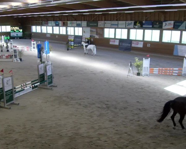 Reitturnier Rüti ZH 2025