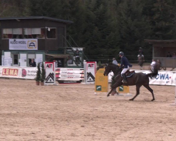 Reitturnier Ranshofen - Braunau am Inn 2025