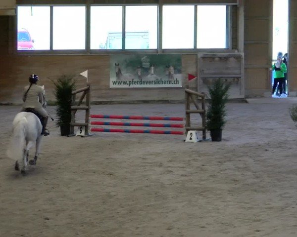 Reitturnier Rüti ZH 2025
