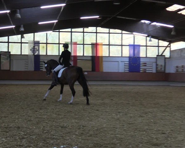 Reitturnier Bottrop 2025