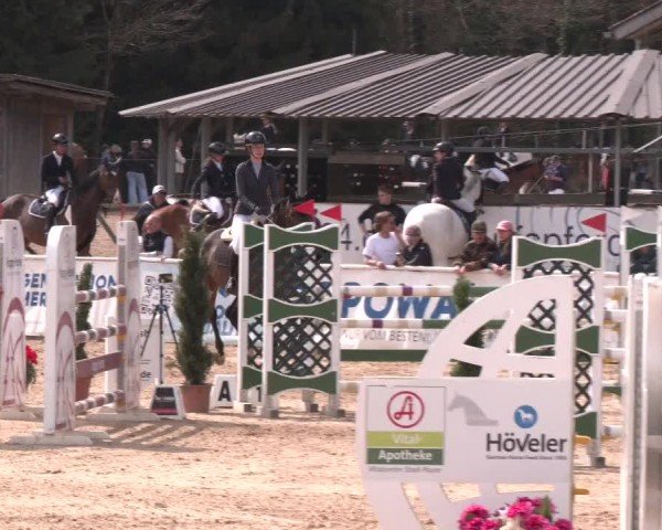Reitturnier Ranshofen - Braunau am Inn 2025