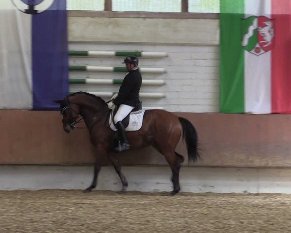 Reitturnier Bottrop 2025