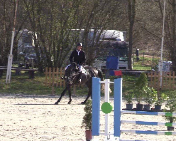 Reitturnier Pietzpuhl 2025