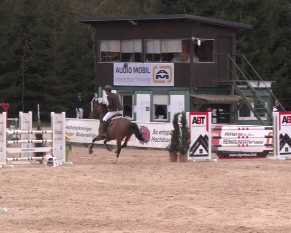 Reitturnier Ranshofen - Braunau am Inn 2025