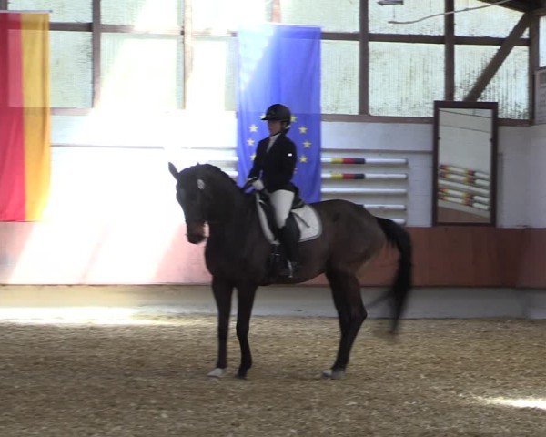 Reitturnier Bottrop 2025