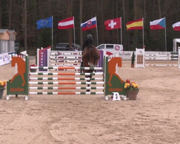 Reitturnier Ranshofen - Braunau am Inn 2025