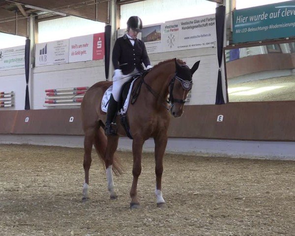Reitturnier Bottrop 2025