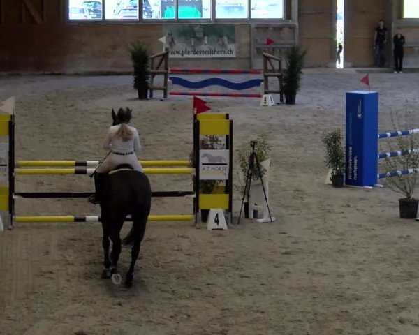 Reitturnier Rüti ZH 2025