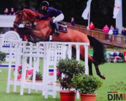 broodmare Thekla Carola (Holsteiner, 2003, from Cash and Carry)
