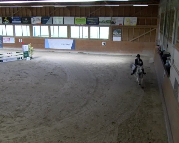 Reitturnier Rüti ZH 2025