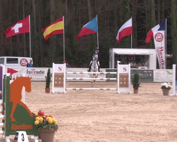Reitturnier Ranshofen - Braunau am Inn 2025