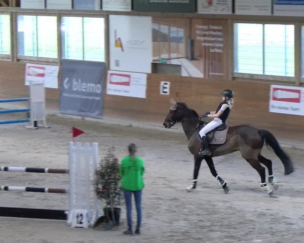 Reitturnier Rüti ZH 2025