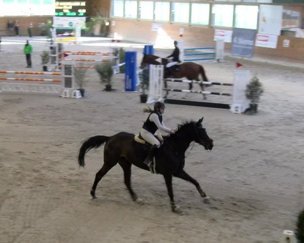 Reitturnier Rüti ZH 2025