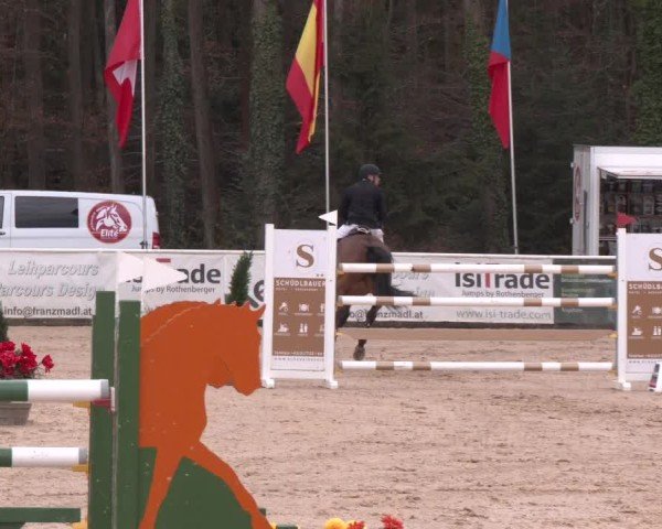 Reitturnier Ranshofen - Braunau am Inn 2025
