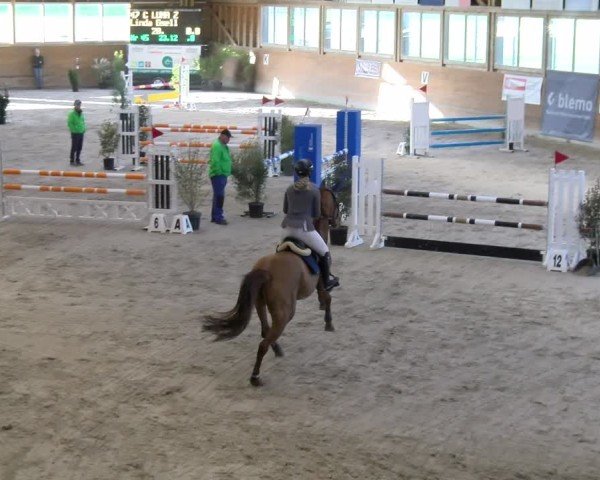 Reitturnier Rüti ZH 2025