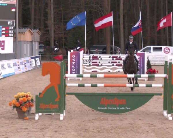 Reitturnier Ranshofen - Braunau am Inn 2025