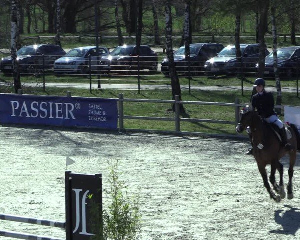 Reitturnier Westergellersen 2025