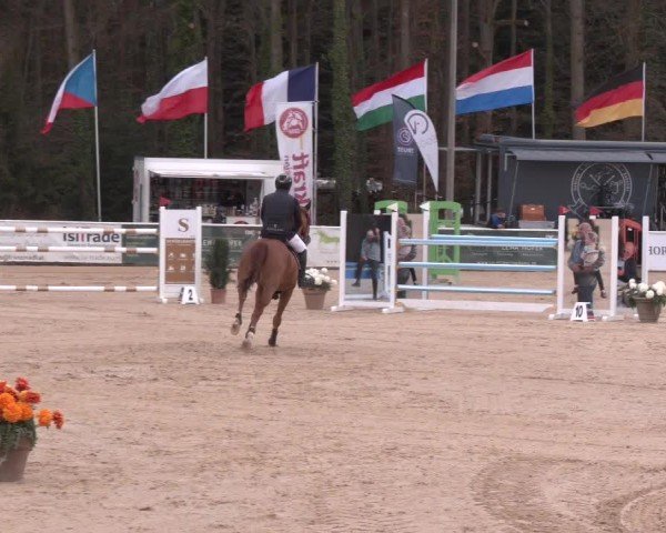 Reitturnier Ranshofen - Braunau am Inn 2025